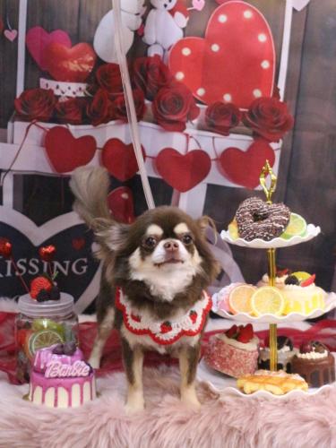 20250215くるみちゃん